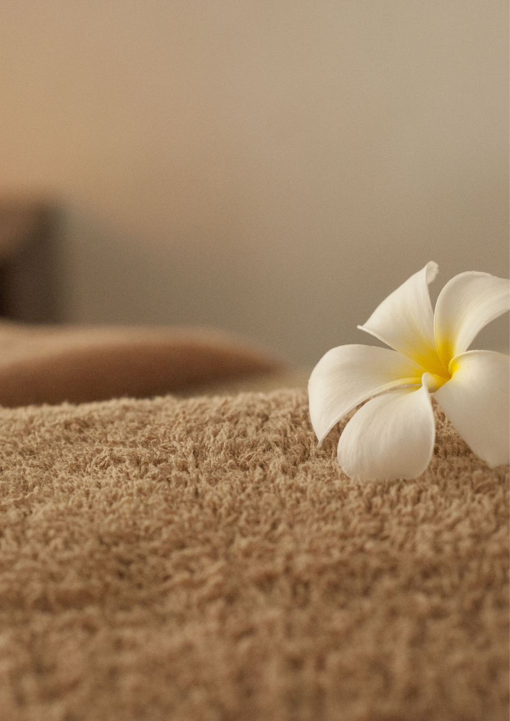 1:1 Vibrational Healing (Reiki + Sound)